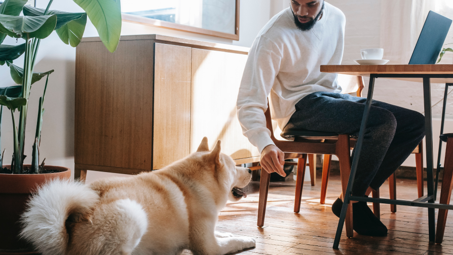 jongen achter de tafel met laptop en hond