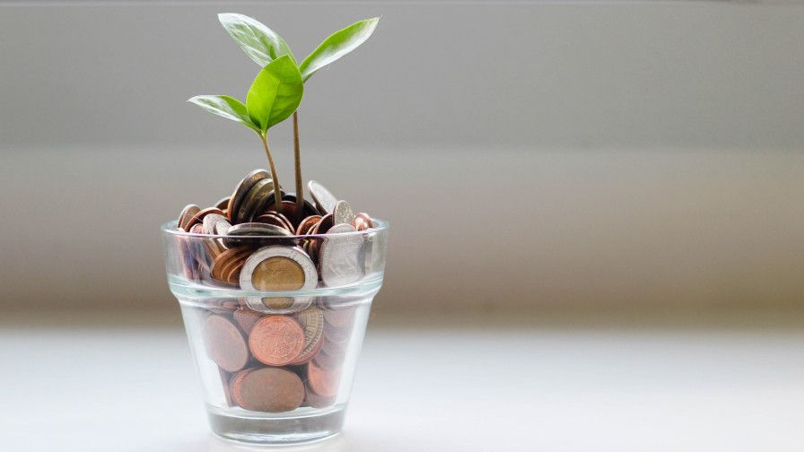 Glas met munten en daar groeit een plantje uit