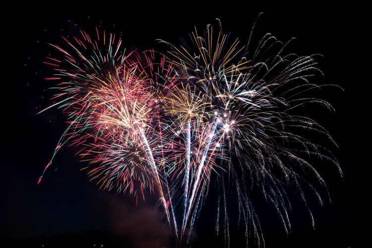 Afbeelding Onze hoogtepunten van 2019!