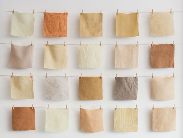 Afbeelding Startup Zeefier kan vol gas na samenwerking met 365Werk