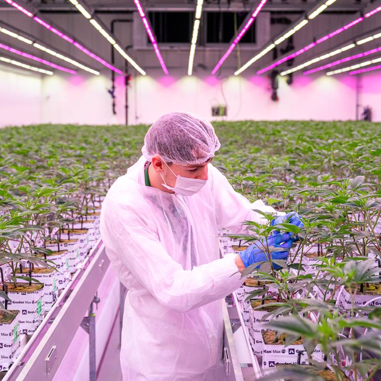 Productiemedewerker Q-Farms