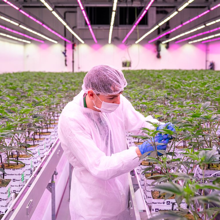 Productiemedewerker Q-Farms